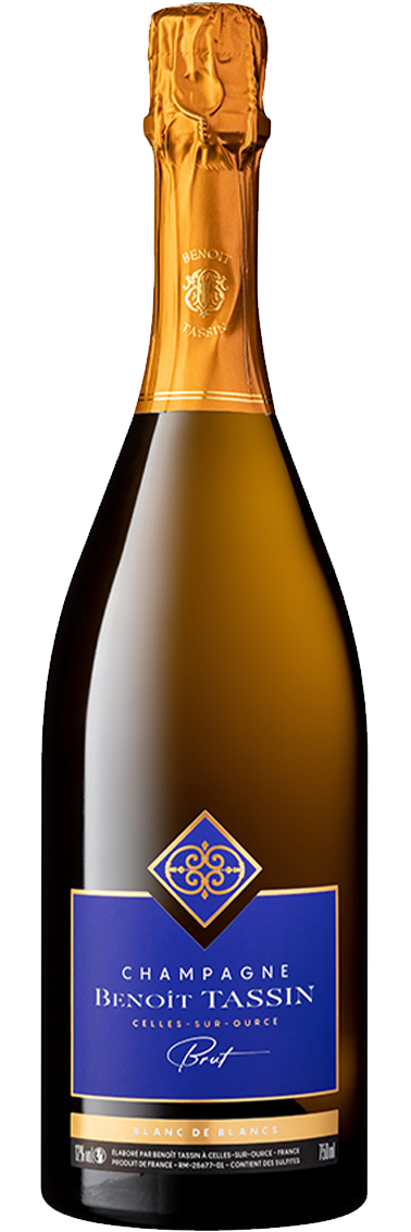 Champagne Blanc de blancs