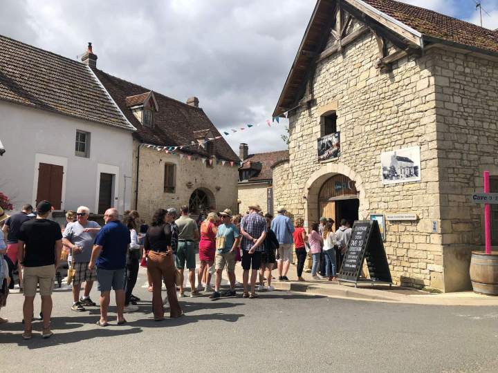 Visite oenotouristique Celles-sur-Ource