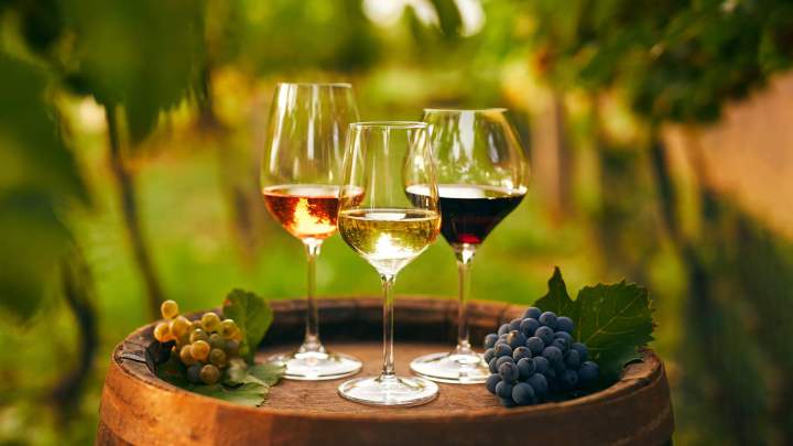 Dégustation de vin Celles-sur-Ource 