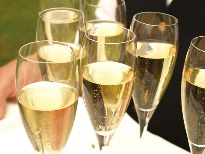Dégustation de champagne Celles-sur-Ource
